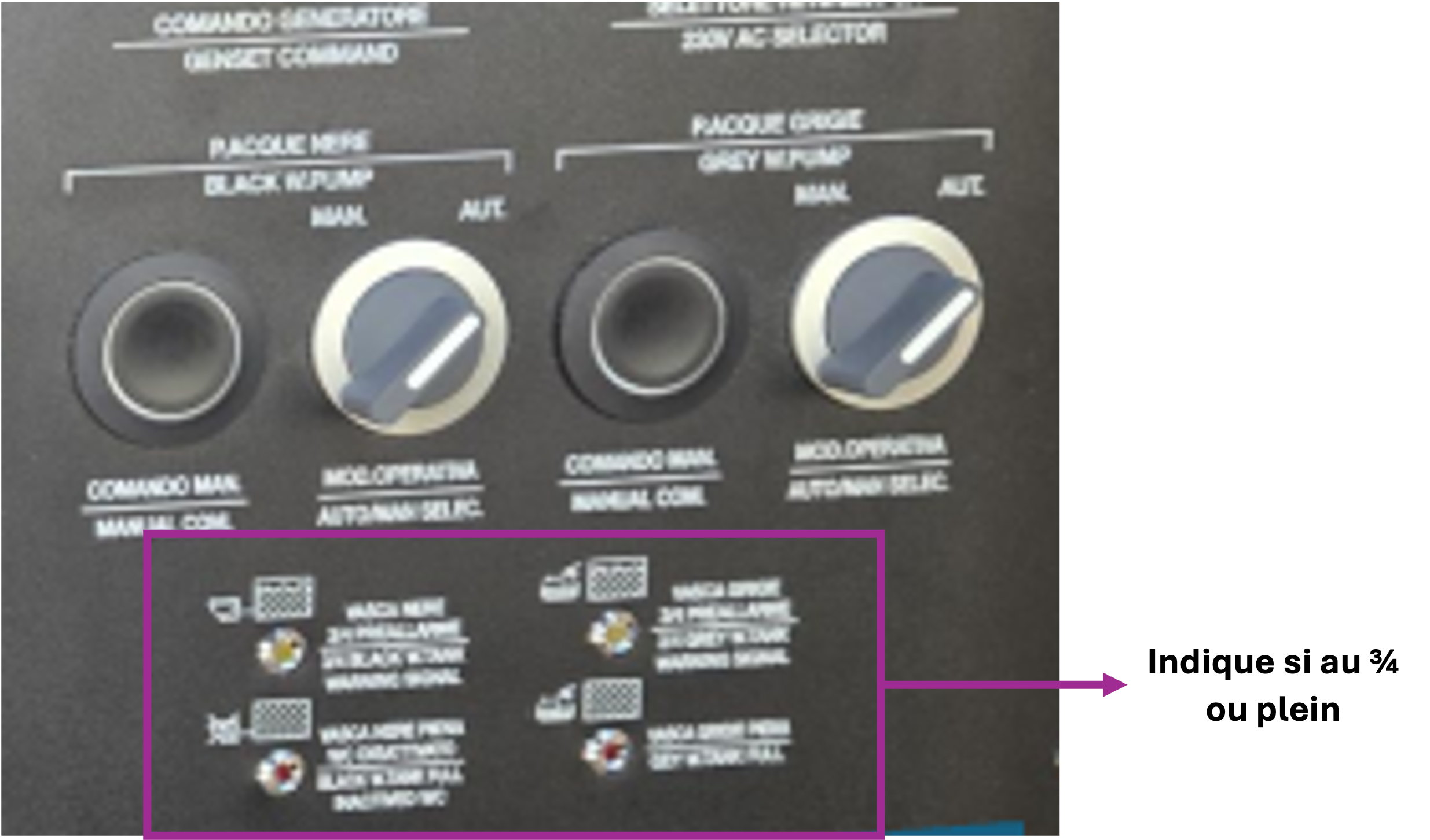 Système de traitement des eaux grises et noires